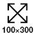 100x300 mm