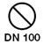 DN 100 mm
