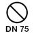 DN 75 mm